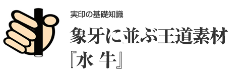 人気の実印素材「黒水牛」と「オランダ水牛(牛角)」の違い